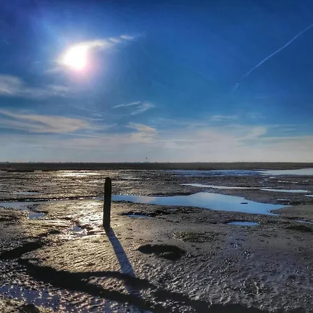 Сasa de vacaciones Allergiker Freundliches Haus In Neßmersiel