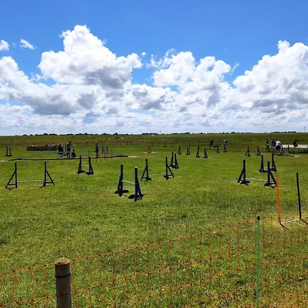 Allergiker Freundliches Haus In * Neßmersiel