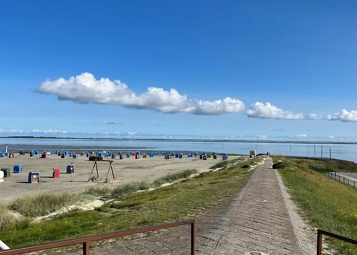 Tatil Evi Allergiker Freundliches Haus In